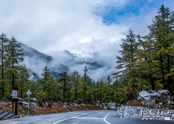 安琥“繁花感”风格写真释出 尽显光影交织艺术感