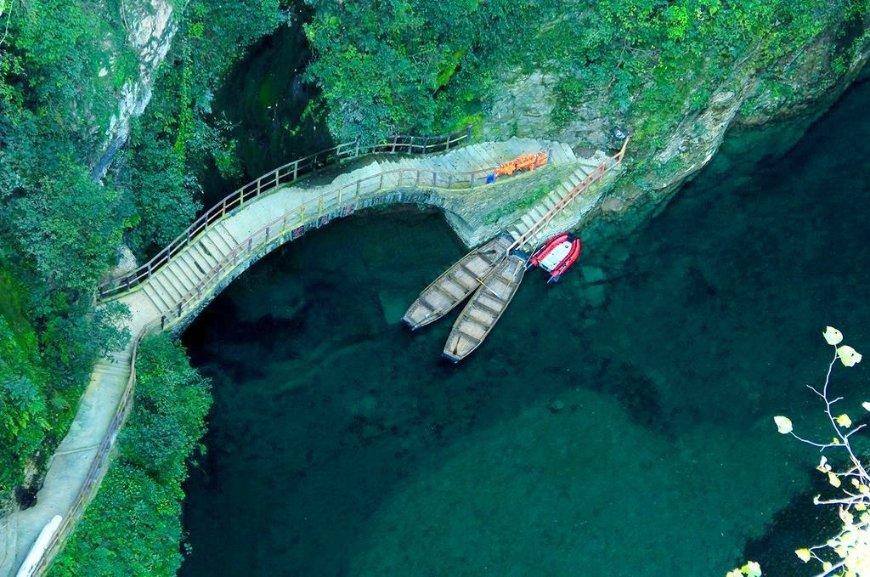 逗小猴开心系列171